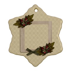 Ornament (Snowflake): Christmas11