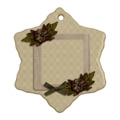 Ornament (Snowflake): Christmas11