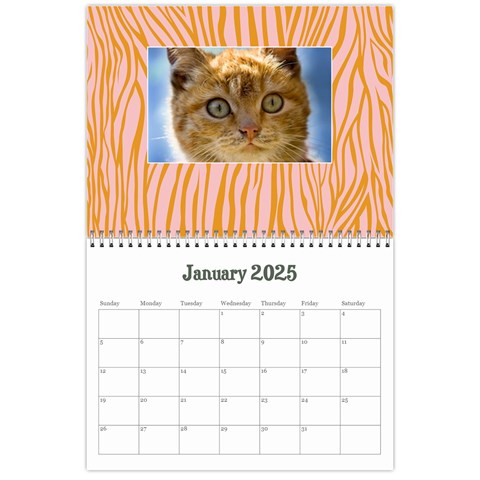 Zebra Glitter/teen/tween Jan 2024