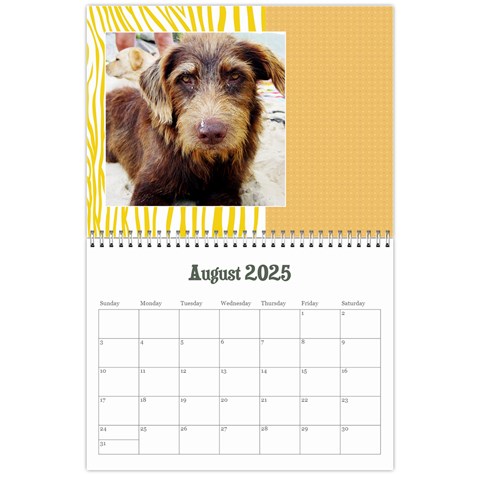 Zebra Glitter/teen/tween Aug 2025
