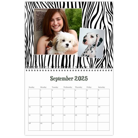 Zebra Glitter/teen/tween Sep 2024