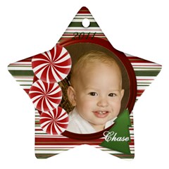 Chase 2011 - Ornament (Star)