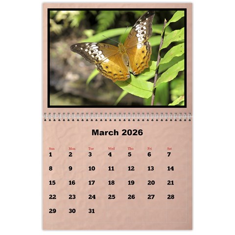 Classic 2026 Calendar (large Numbers) By Deborah Mar 2026