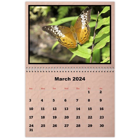 Classic 2024 Calendar (large Numbers) By Deborah Mar 2024