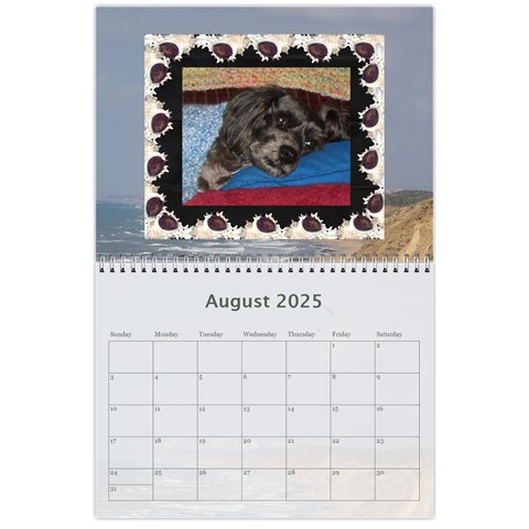 2025 Any Occassion Calendar By Kim Blair Aug 2025