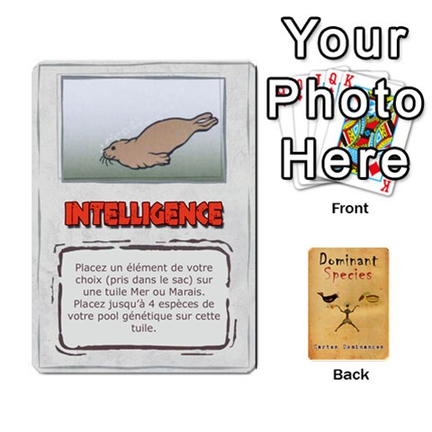 Dominant Species Vf By Ndeclochez Front - Spade2