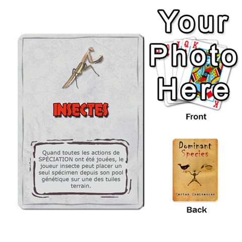 Queen Dominant Species Vf By Ndeclochez Front - DiamondQ
