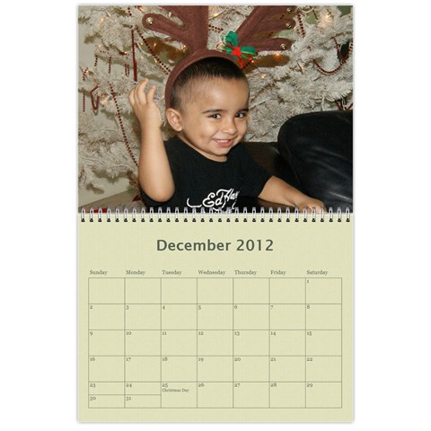Calendar 2012 By Shal Shahani Dec 2012