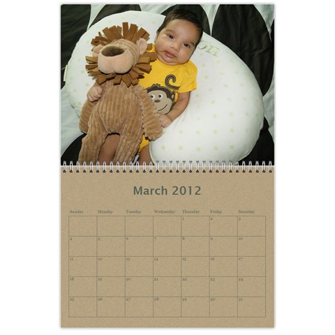 Calendar 2012 By Shal Shahani Mar 2012