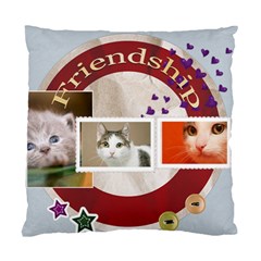 Friendship - Standard Cushion Case (Two Sides) Friendship - Standard Cushion Case (Two Sides)