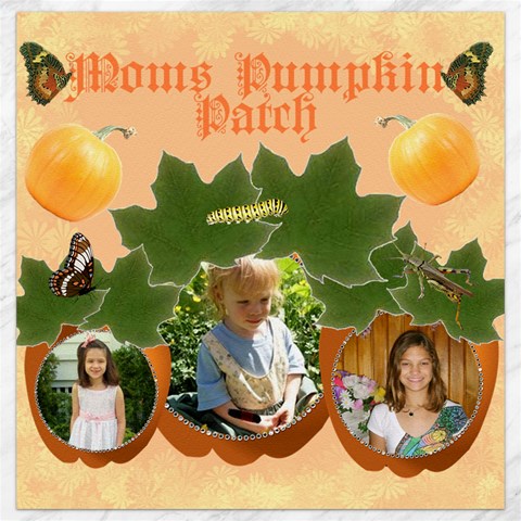 Pumpkin Patch 12x12 Canvas By Kim Blair 11.4 x11.56  Canvas - 1