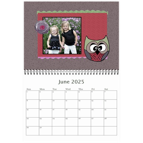 20253owlie Calendar By Amanda Bunn Jun 2025
