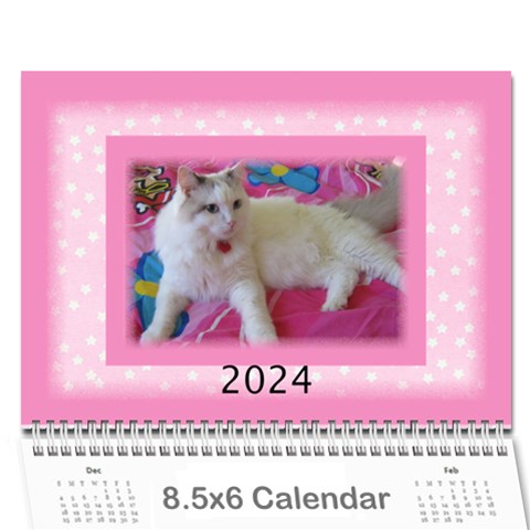 Pink Princess 2024 (any Year)calendar 8 5x6 By Deborah Cover