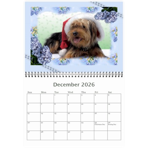 Framed With Flowers 2026 (any Year) Calendar 8 5x6 By Deborah Dec 2026