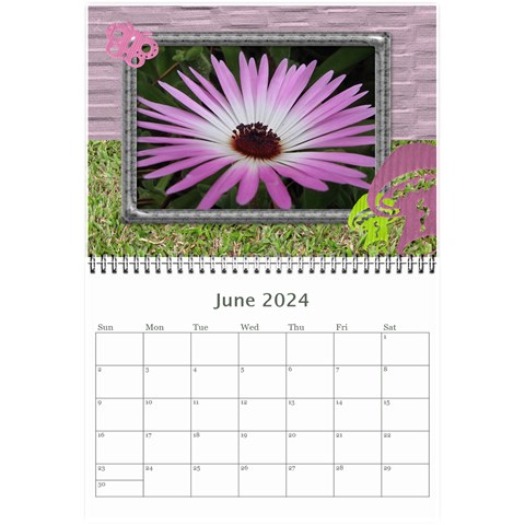 My Garden 2024 (any Year) Calendar 8 5x6 By Deborah Jun 2024