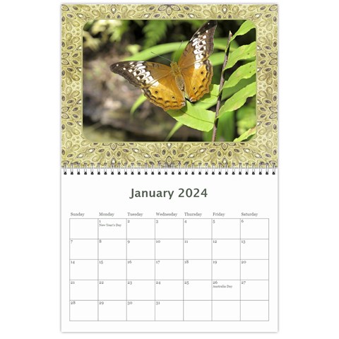 My General Purpose Picture Calendar 11x8 5 By Deborah Jan 2024