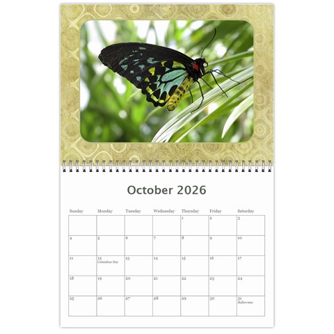 My General Purpose Picture Calendar 11x8 5 By Deborah Oct 2026