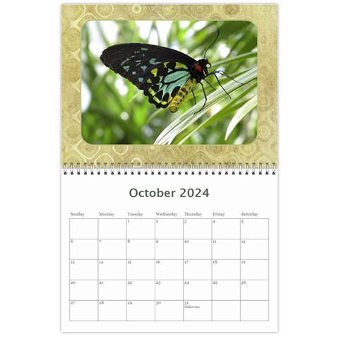 My General Purpose Picture Calendar 11x8 5 By Deborah Oct 2024