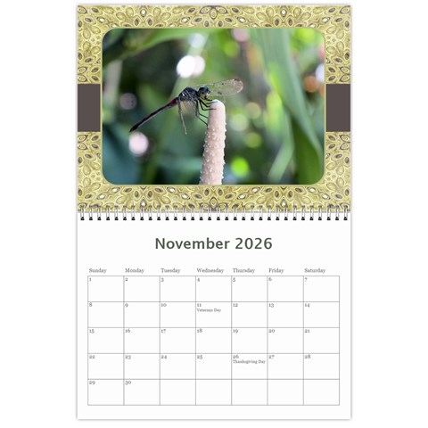 My General Purpose Picture Calendar 11x8 5 By Deborah Nov 2026
