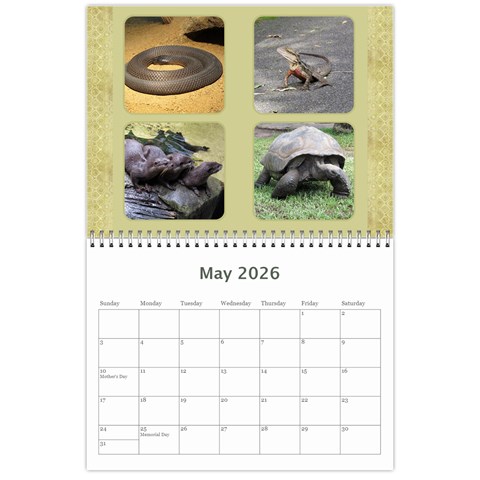 My General Purpose Picture Calendar 11x8 5 By Deborah May 2026