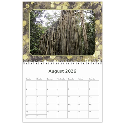 My General Purpose Picture Calendar 11x8 5 By Deborah Aug 2026