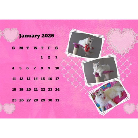 Happy Pink 2026 Desk Calendar By Deborah Jan 2026