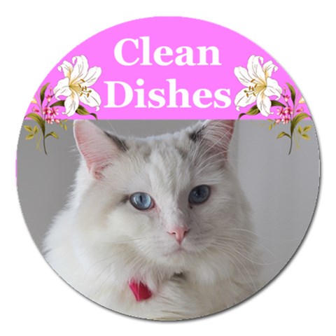 Heathers Clean Dishes 2 By Deborah Front