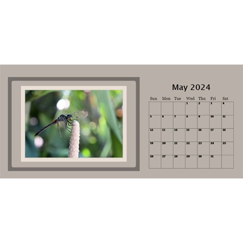 Coffee And Cream 2024 Desktop Calendar (11 Inch) By Deborah May 2024