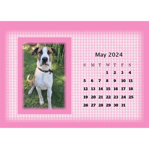 Pink Princess 2024 Desktop Calendar By Deborah May 2024