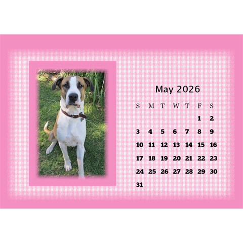 Pink Princess 2024 Desktop Calendar By Deborah May 2024