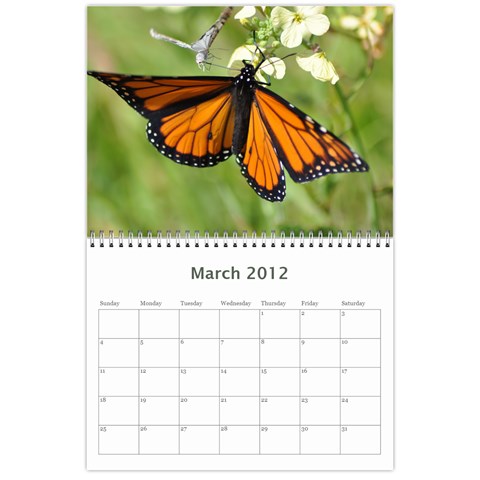 2012 D R  Calendar By Kathie Thomas Mar 2012