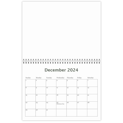 2024 M By S Comiso Dec 2024