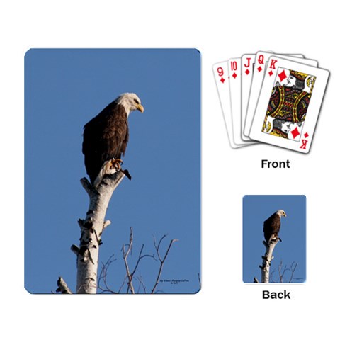 Eagle Cards By Eileen Back