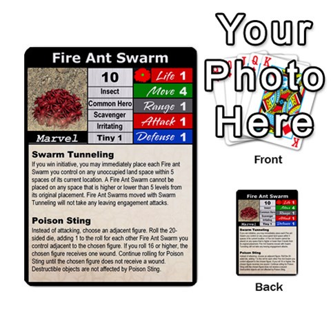 Color Front 31