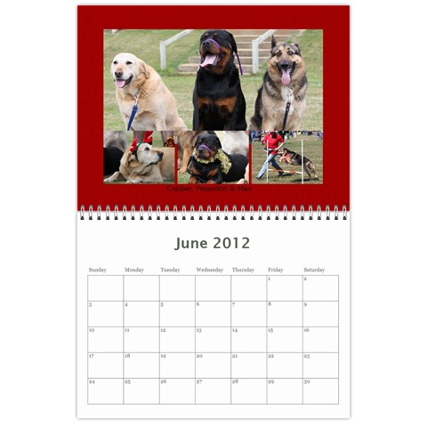 Cuby K9 Calandar 2012 By Amanda Jun 2012