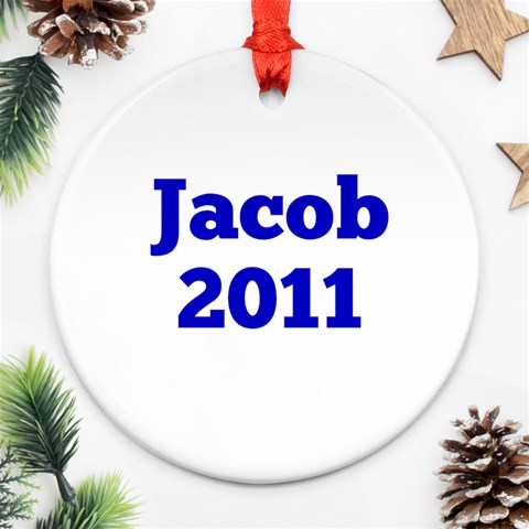 Jacob 2011 By Shari Sekel Back