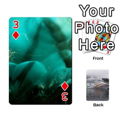 Alaska Playing Cards 2 By Karen Teichert Front - Diamond3