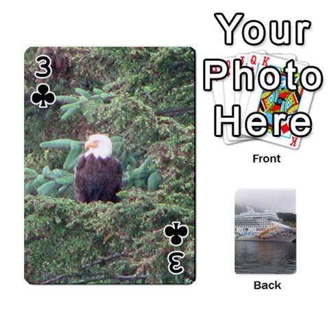 Alaska Playing Cards 2 By Karen Teichert Front - Club3