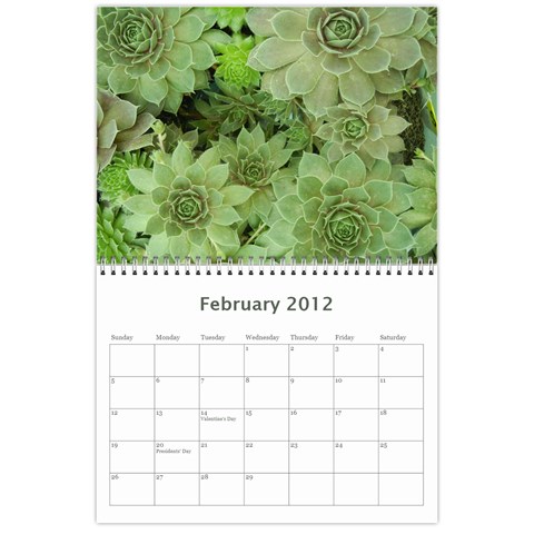 Nature Calendar By Hadassa Seliger Feb 2012
