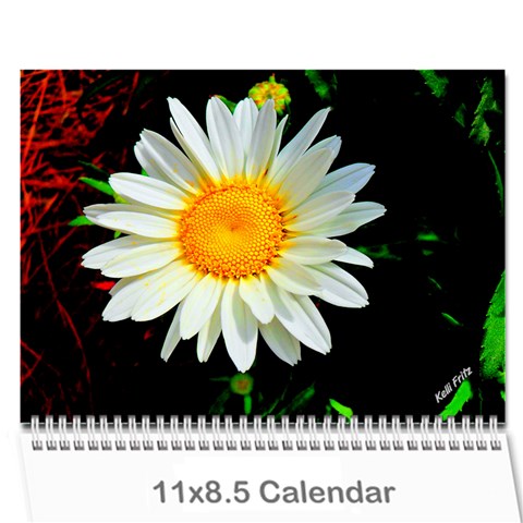 Calender By Kelli Cover
