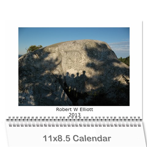 20133 By Cure Cover