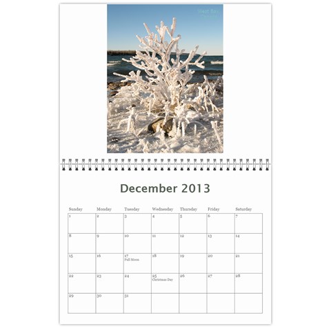 20133 By Cure Dec 2013