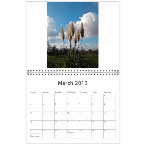 20133 By Cure Mar 2013