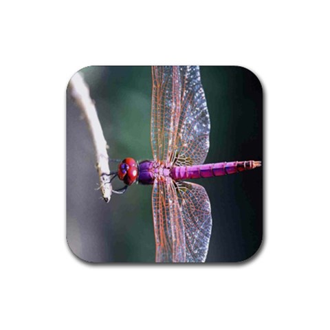 Dragonfly Coaster By Birkie Front