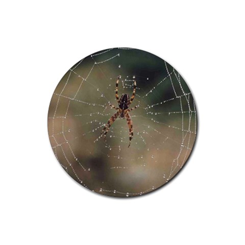 Spider Coaster By Birkie Front