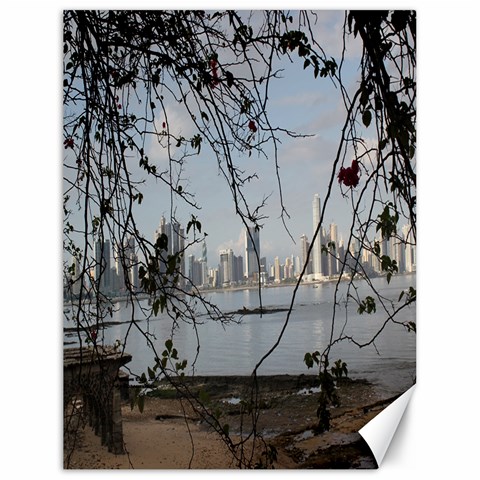 Panama By Noreen 17.8 x23.08  Canvas - 1