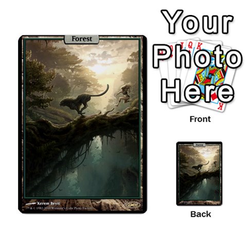 Forest Front 3