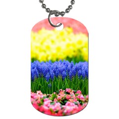 tag_327 - Dog Tag (Two Sides)