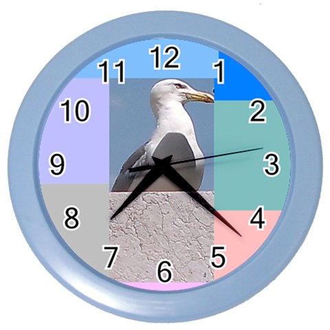 The Seagull In Rome By Riksu Front