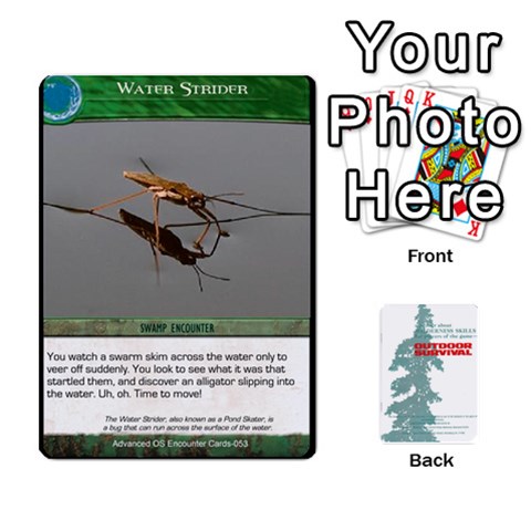 King Advanced Outdoor Survival Swamp And Mountain Encounter Deck By Michael Front - DiamondK